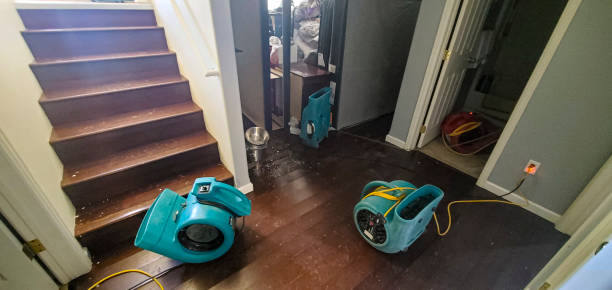 Best Sewage cleanup and water damage restoration  in Valley View, OH