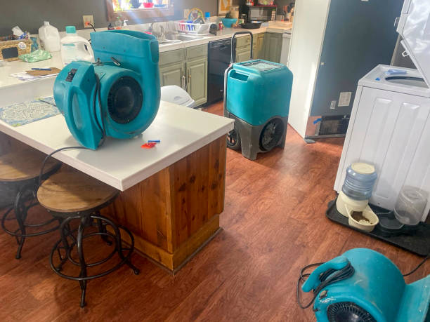 Best Basement water damage restoration  in Valley View, OH