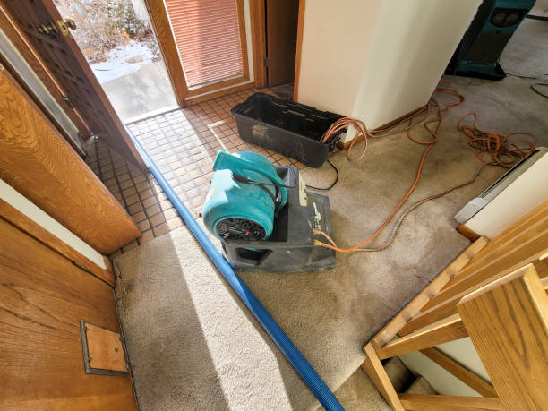 Best Commercial water damage restoration  in Valley View, OH