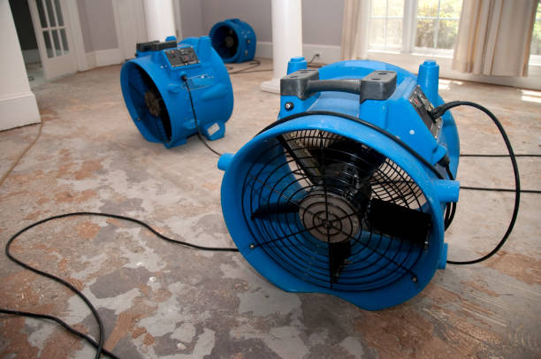 Best Water damage restoration near me  in Valley View, OH