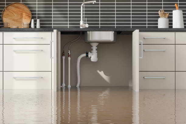  Valley View, OH Water damage restoration Pros