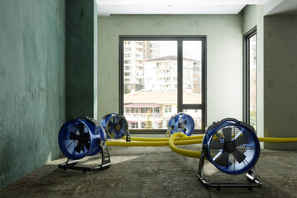 Best Water damage repair service  in Valley View, OH